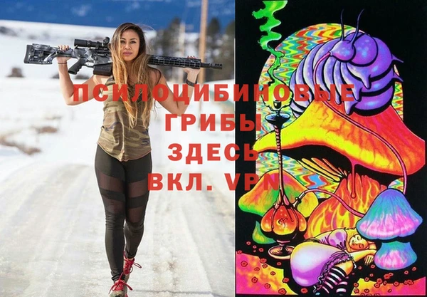 соль ск Россошь