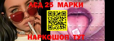 spice Камышлов