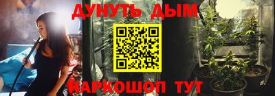 spice Камышлов