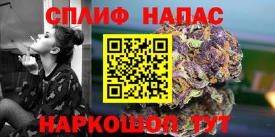 spice Камышлов