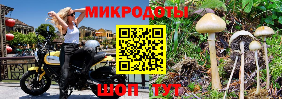 Галлюциногенные грибы Cubensis Ростов-на-Дону