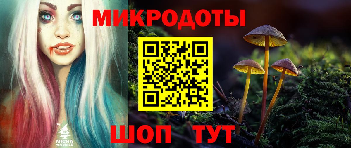 Ростов-на-Дону  Псилоцибиновые грибы MAGIC MUSHROOMS  Галлюциногенные грибы мицелий  Вход с VPN 