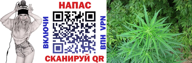Бошки марихуана индика Ростов-на-Дону